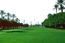 2026世界杯官网 兴义市绿化工程招标公告